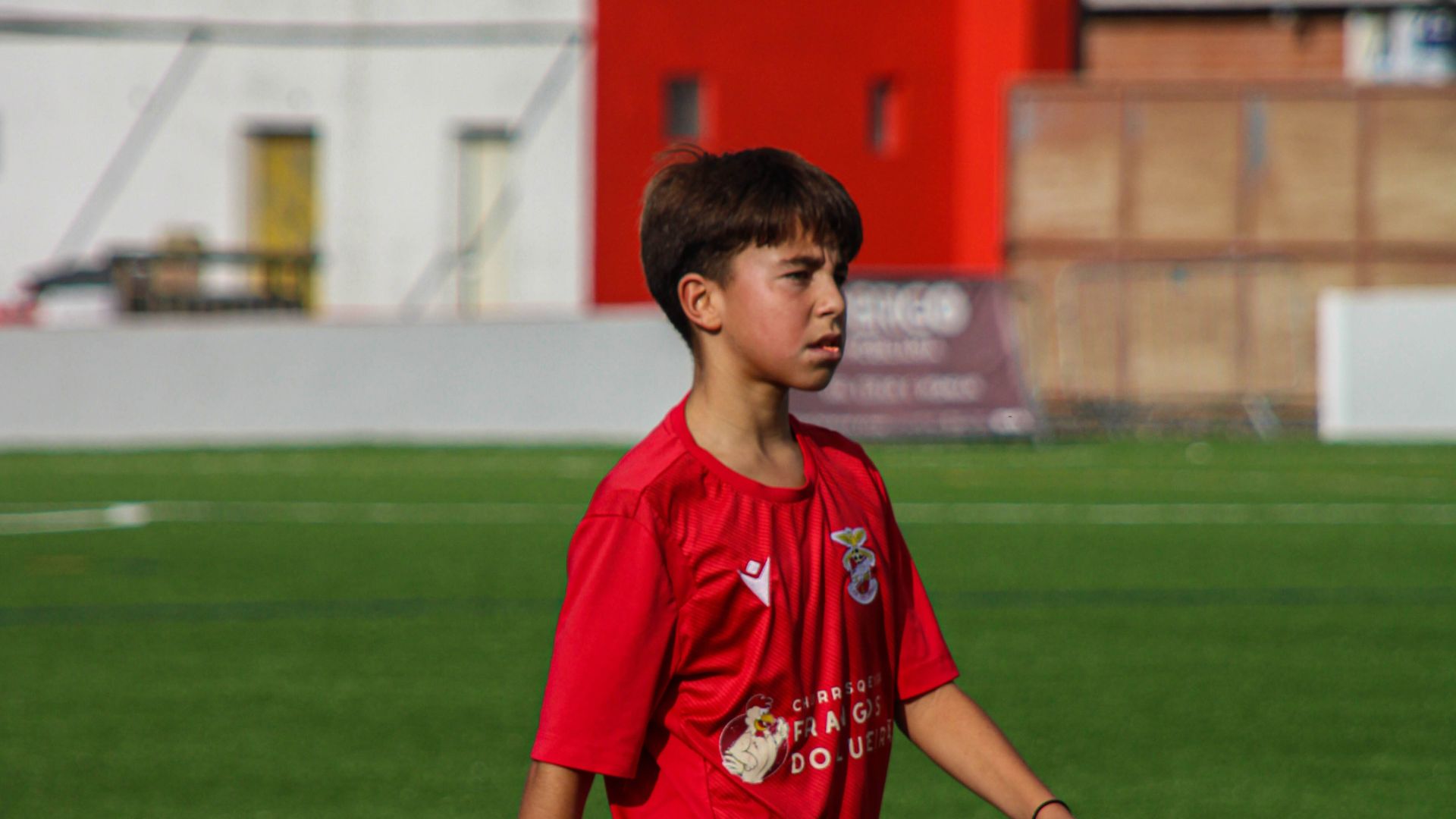 Bernardo Lopes